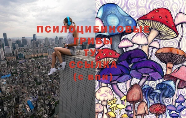 MDMA Premium VHQ Беломорск