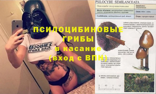 бошки Белоозёрский
