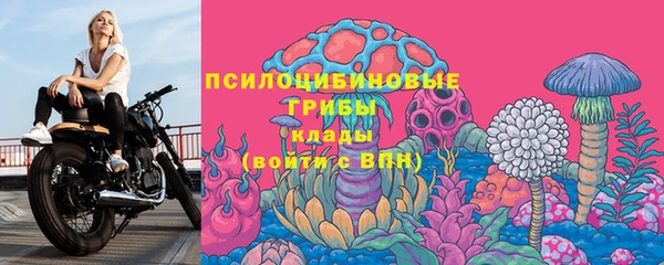 первитин Белокуриха