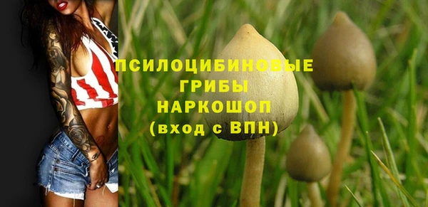MDMA Premium VHQ Беломорск