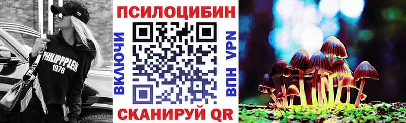 Галлюциногенные грибы мицелий  KRAKEN сайт  Рудня  где можно купить наркотик 